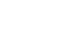 Lewis & Feldman, LLC